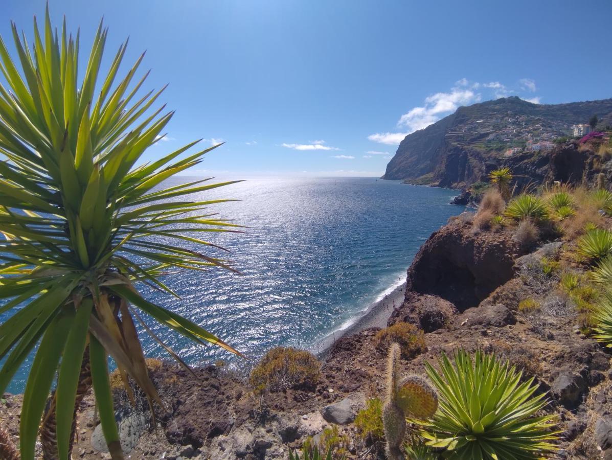 Attic Bay Διαμέρισμα Câmara de Lobos Εξωτερικό φωτογραφία